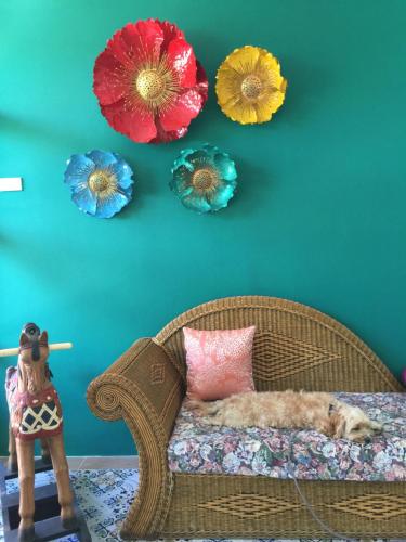 Фотография мини отеля Chor Chang House