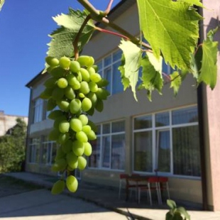 Фотография гостевого дома У Арсена