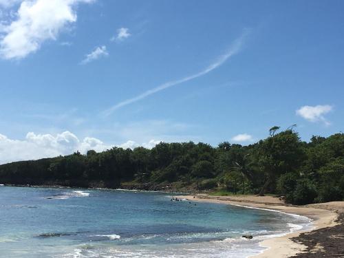 Фотография базы отдыха Cas'à Willy