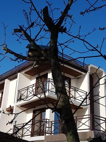 Фотографии гостиницы
Ольга