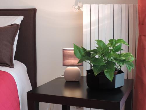 Фотография мини отеля Artemide B&B