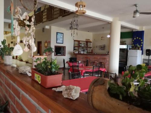 Фотография мини отеля Whale House Hotel