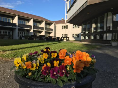 Фотография гостиницы Oppdal Gjestetun Hotell