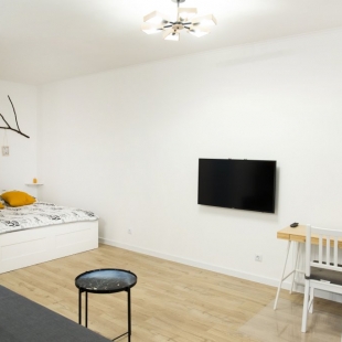 Фотография квартиры Квартира на Ольгинской Набережной