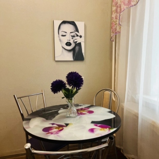 Фотография квартиры Квартира Однокомнатная Александровский 5