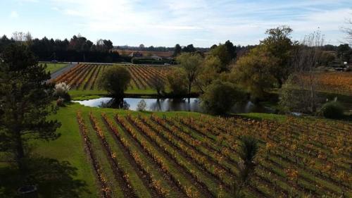 Фотография мини отеля Chateau Couchebout