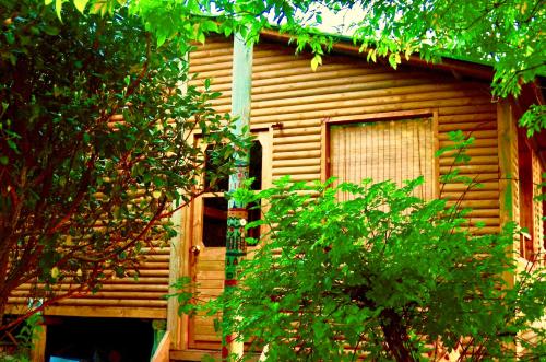 Фотография гостевого дома Cabañas Sinduly Bed & Breakfast