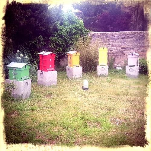 Фотография гостевого дома Les 5 rûches