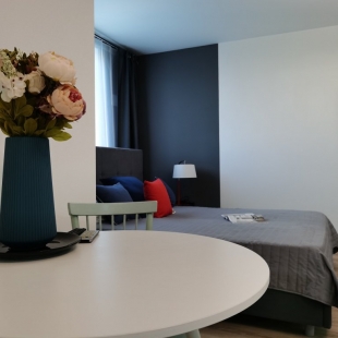 Фотография квартиры Апартаменты Арт Студия аэропорт Кольцово