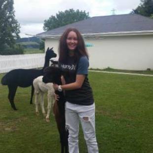 Фотографии мини отеля 
            The Homestead B&B