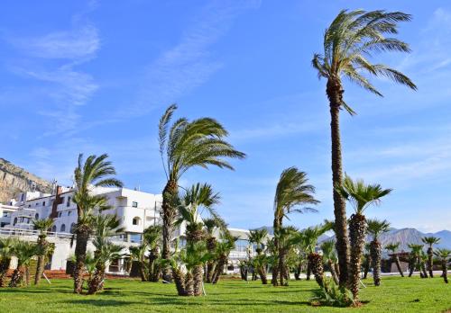 Фотография гостиницы Saracen Sands Hotel & Congress Centre - Palermo