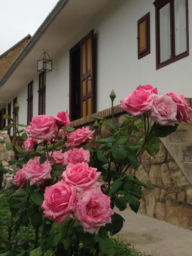 Фотография гостевого дома Akác Ház