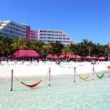 Фотография гостиницы Oasis Palm - Все включено