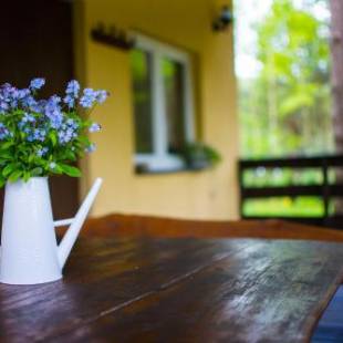 Фотографии гостевого дома
Kurort Mirowice