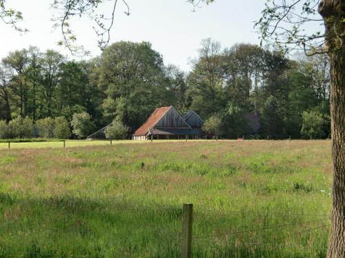 Фотография мини отеля 't Buitenverblijf Erve Punte