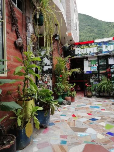 Фотография мини отеля Hostal La Casa Amarilla City