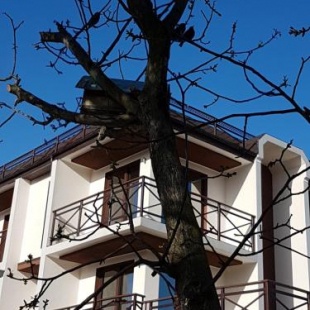 Фотография гостиницы Ольга