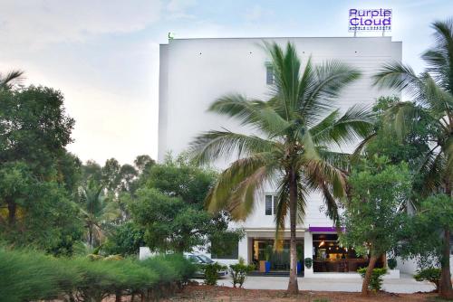Фотография гостиницы Purple Cloud Hotel
