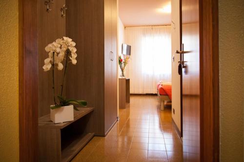 Фотография гостиницы Hotel STELLA D'ORO