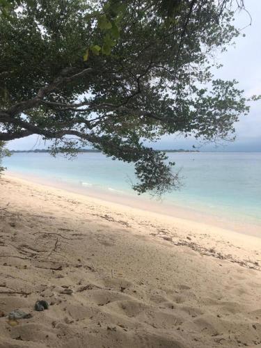 Фотография базы отдыха Biru Meno Beach Bungalows