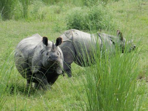 Фотография гостевого дома Wild Horizons Guest House