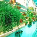 Фотография мини отеля Camellia B&B