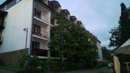 Фотографии гостевого дома
Магнолия