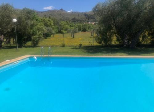 Фотография гостевого дома Agro-Turismo - Quinta do Pinheiro