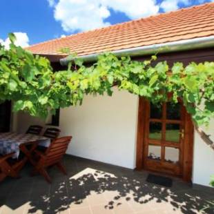 Фотографии гостевого дома 
            Lugas Vendégház