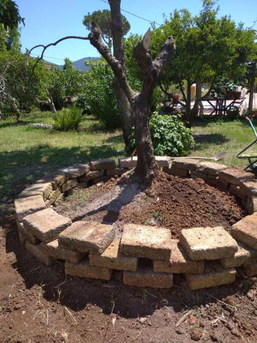 Фотография мини отеля B&B Villa Sabrina