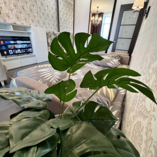 Фотография квартиры Квартира Саквояж34