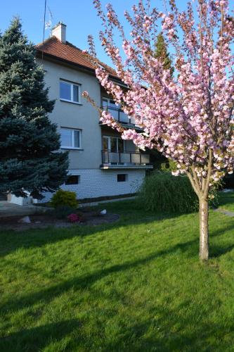 Фотография гостевого дома Retro vila