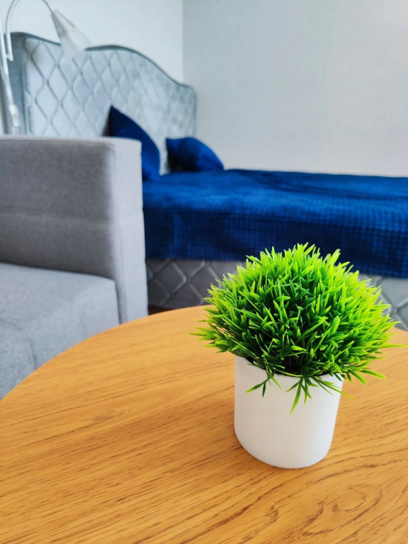 Фотография квартиры Квартира современная комфортная студия в светлых тонах