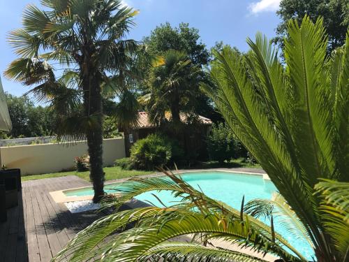 Фотография мини отеля Les Rives du Bassin