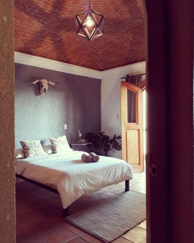 Фотография хостела Lool Beh Hostal Boutique