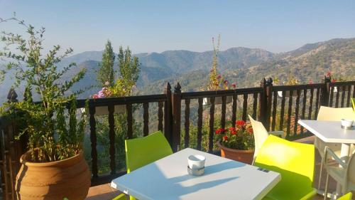 Фотография гостиницы Two Flowers Hotel