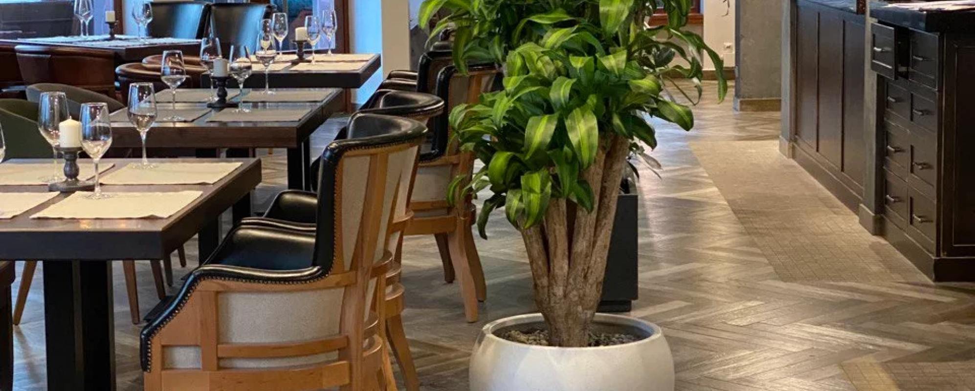 Фотографии банкетного зала Сенкевич Зал на 1 этаже