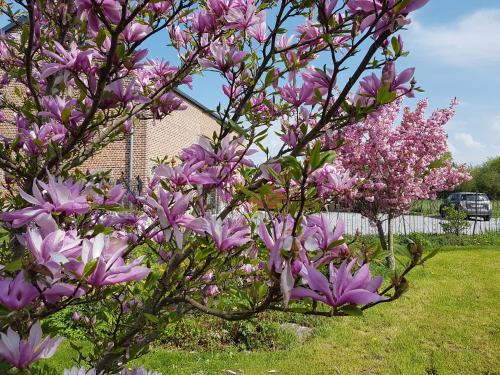 Фотография мини отеля Il etait une ferme