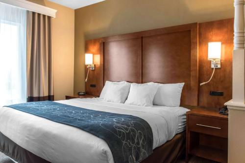 Фотография гостиницы Comfort Suites Scranton near Montage Mountain