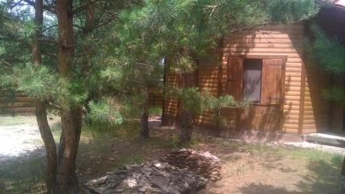 Фотография гостевого дома Дачная Слобода