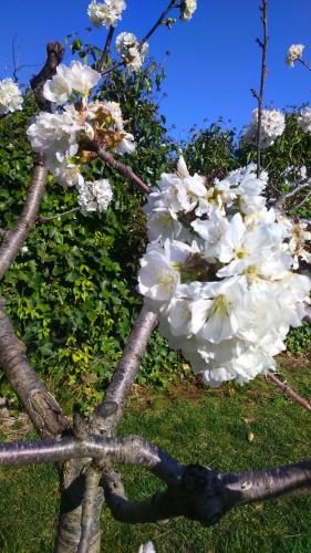 Фотография гостевого дома Les Valletes