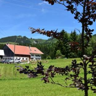 Фотографии апарт отеля
Am Hof Jungholz