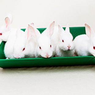 Фотография предприятий Юхнов-Крол