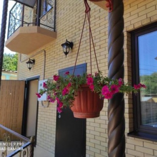 Фотография гостевого дома На Пикетном, 24