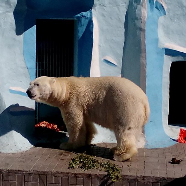 Фотография Новосибирский зоопарк имени Ростислава Александровича Шило