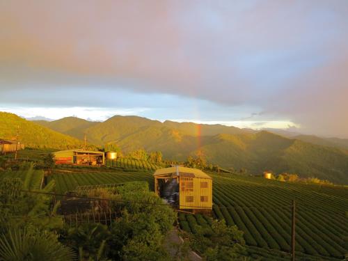 Фотография мини отеля Alishan B&B YunMinGi