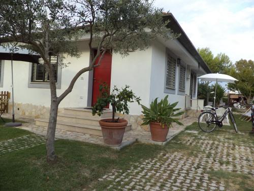 Фотография мини отеля Gens Mundi B&B