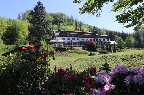 Фотография гостиницы Hotel Troyer