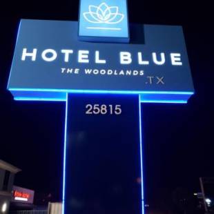 Фотографии гостиницы 
            Hotel Blue - Woodlands