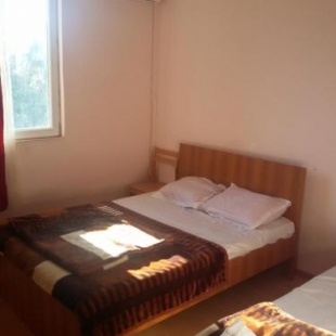 Фотография хостела Лада